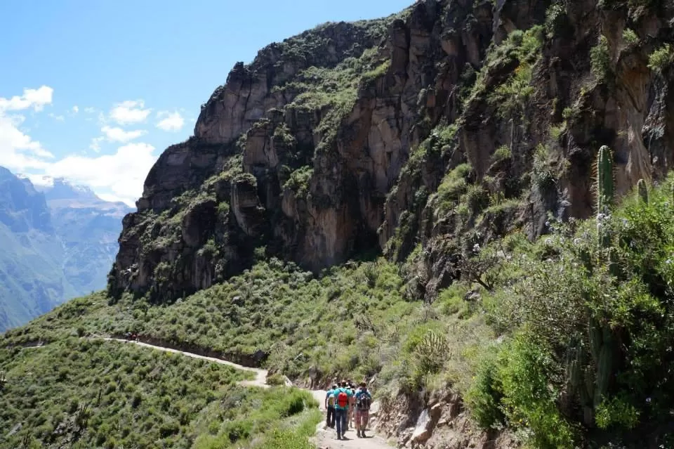 Catedral de Arequipa
